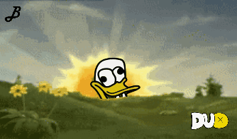 Duck In Field With Sun Behind It GIF