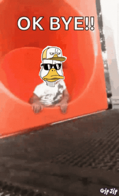 Duck In Sunglasses And Hat On Slide Saying Ok Bye GIF