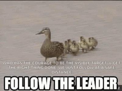 Duck Leading Flock Of Ducklings On Dirt Road GIF