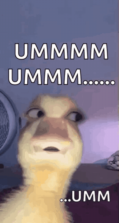 Duck Making Funny Face GIF