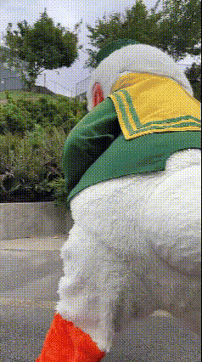 Duck Mascot In Green And Yellow Sailor Costume GIF