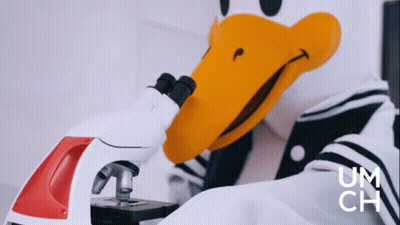 Duck Mascot Looking Through Microscope Um Ch GIF