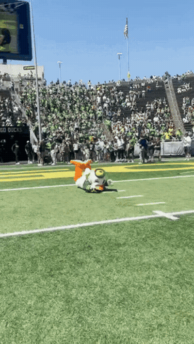 Duck Mascot Lying On Football Field GIF
