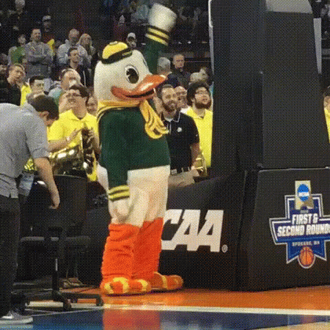Duck Mascot Standing On Basketball Court GIF