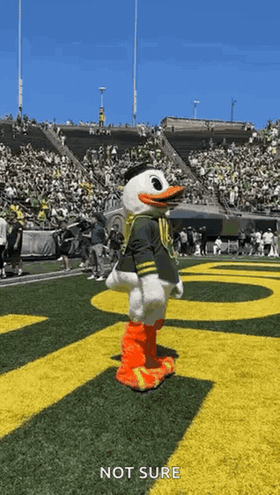 Duck Mascot Standing On Football Field GIF