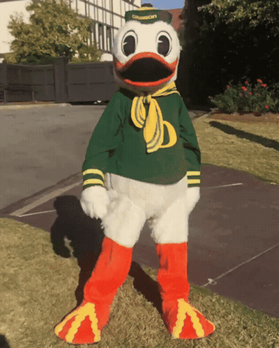 Duck Mascot Wearing Green And Yellow GIF