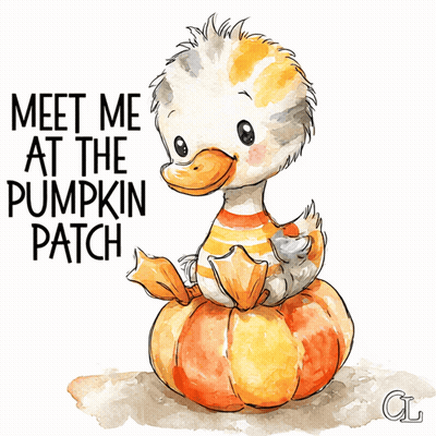 Duck On Pumpkin Saying Meet Me At The Pumpkin Patch GIF