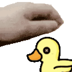 Duck Pet Sticker GIF
