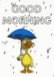 Duck Rainy Good Morning GIF