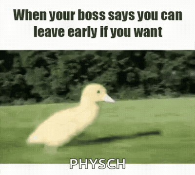 Duck Running When Your Boss Says You Can Leave Early GIF
