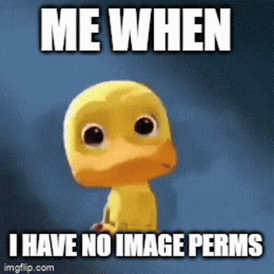 Duck Saying Me When No Image Permits GIF