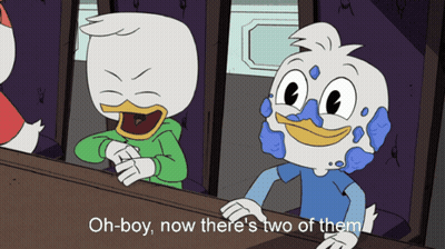 Duck Saying Oh Boy Now There's Two of Them