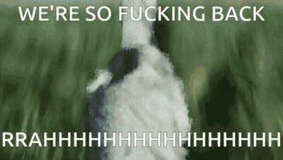 Duck Saying We're So Fucking Back GIF