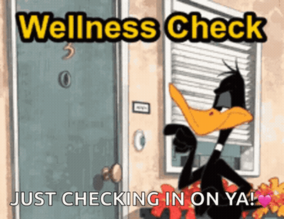 Duck Saying Wellness Check Just Checking In On Ya GIF