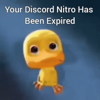Duck Saying Your Discord Nitro Has Been Expired GIF