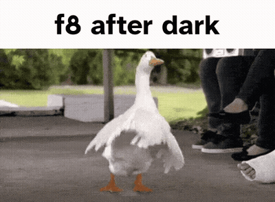 Duck Says F8 After Dark GIF