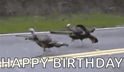 Duck Season Sign Next To Tree GIF