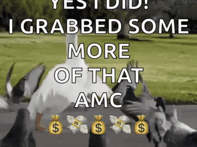 Duck Surrounded By Pigeons With Bags Of Money GIF