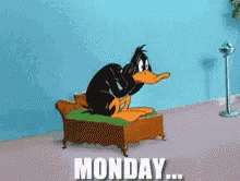  Duck Waiting Another Monday To Pass GIF