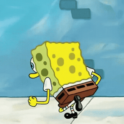 Duck Wearing Cone Holding Chicago Sky Banner GIF