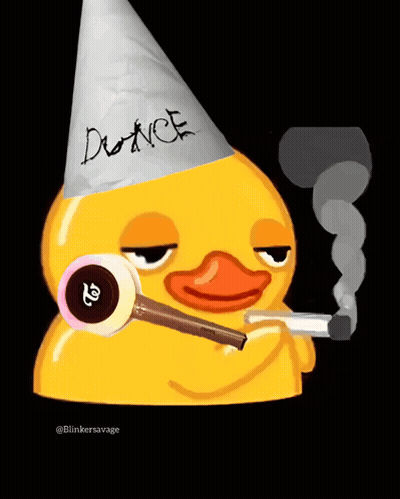 Duck With Party Hat Saying Dunce GIF