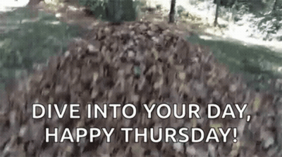 Ducks In Leaves Dive Into Your Day Happy Thursday GIF