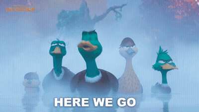 Ducks Standing In Water Here We Go GIF