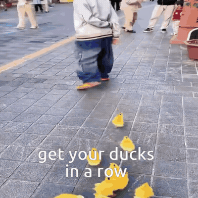 Ducks Walking In A Row Get Your Ducks In A Row GIF