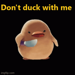 Ducky Don't Duck With Me GIF