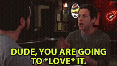 Dude You Are Going To Love It - It's Always Sunny In Philadelphia GIF