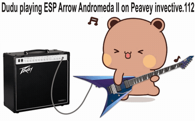 Dudu Playing ESP Arrow Andromeda II On Peavey Invective-112 GIF