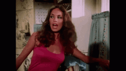 Dukes Of Hazzard Daisy Duke Uniform  GIF
