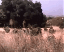 Dukes Of Hazzard General Lee Car Barn Jump GIF