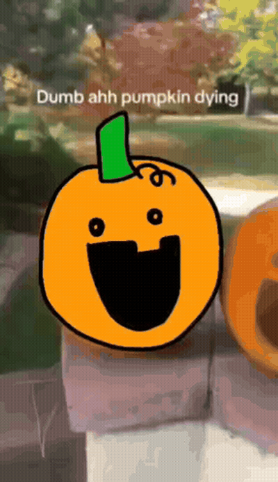 Dumb Ahh Pumpkin Dying With Green Stem GIF