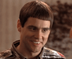 Dumb And Dumber Bathroom Screams On Excitement GIF