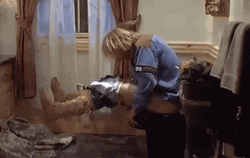 Dumb And Dumber Bathroom Shaking GIF