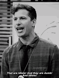 Dumb And Idiots Brooklyn 99 GIF