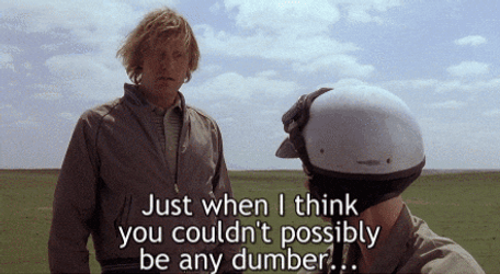 Dumb And Possibly Be Dumber Scooter GIF