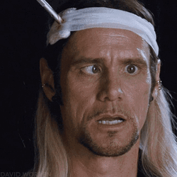 Dumb Burt Wonderstone GIF