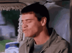 Dumb Jim Carrey GIF