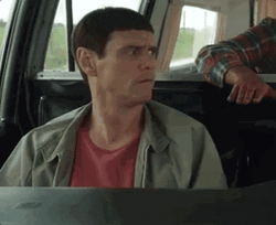 Dumb Jim Carrey Inside Car GIF