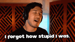 Dumb Markiplier Says I Forgot How Stupid GIF