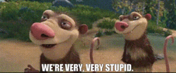 Dumb Opossums Says We're Very Very Stupid GIF
