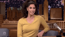Dumb Sarah Silverman Says I Don't Know GIF
