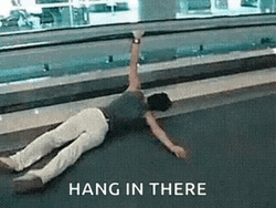 Dumb Tourist Hanging On Hand Rail GIF