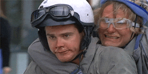 Dumb We're There Scooter And Dumber GIF