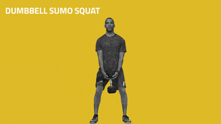 Dumbbell Row Sumo Squat GIF