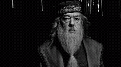 Dumbledore Albus Percival Wulfric Brian Dumbledore GIF