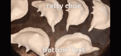 Dumplings With Ratty Choe And Bottom Text GIF