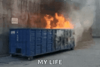 Dumpster On Fire Saying My Life GIF